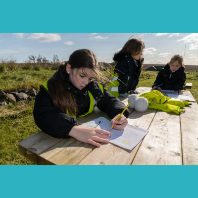 Working studiously in Belfast Hills - 400x400